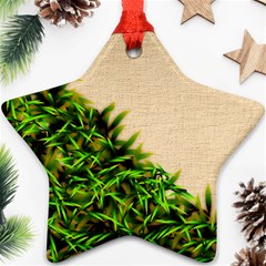 Papyrus1 Star Ornament (Two Sides) from ArtsNow.com Back
