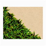Papyrus1 Glasses Cloth (Small, Two Sides)