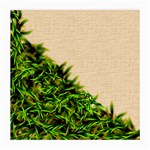 Papyrus1 Glasses Cloth (Medium)