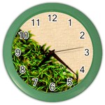 Papyrus1 Color Wall Clock