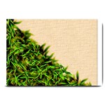 Papyrus1 Large Doormat