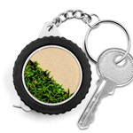 Papyrus1 Measuring Tape