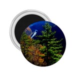 Pa Grand Canyon , South View by Ave Hurley -  2.25  Magnet