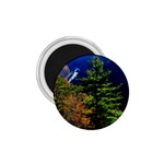 Pa Grand Canyon , South View by Ave Hurley -  1.75  Magnet