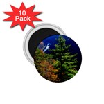 Pa Grand Canyon , South View by Ave Hurley -  1.75  Magnet (10 pack) 