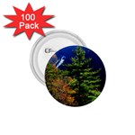 Pa Grand Canyon , South View by Ave Hurley -  1.75  Button (100 pack) 