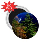 Pa Grand Canyon , South View by Ave Hurley -  2.25  Magnet (100 pack) 
