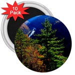 Pa Grand Canyon , South View by Ave Hurley -  3  Magnet (10 pack)