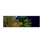 Pa Grand Canyon , South View by Ave Hurley -  Sticker Bumper (10 pack)