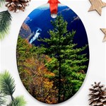 Pa Grand Canyon , South View by Ave Hurley -  Oval Ornament (Two Sides)