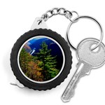 Pa Grand Canyon , South View by Ave Hurley -  Measuring Tape