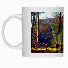 Leo Harrison St Pk  Path 8 Turkey Path White Mug from ArtsNow.com Left