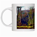 Leo Harrison St Pk  Path 8 Turkey Path White Mug