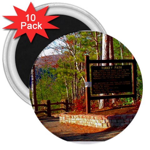 Leo Harrison St Pk  Path 8 Turkey Path 3  Magnet (10 pack) from ArtsNow.com Front