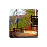 Leo Harrison St Pk  Path 8 Turkey Path Magnet (Square)