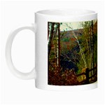 Leo Harrison St Pk  Path 8 Turkey Path Night Luminous Mug