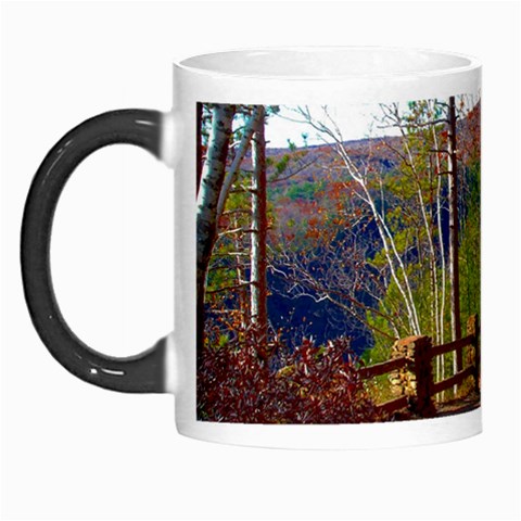 Leo Harrison St Pk  Path 8 Turkey Path Morph Mug from ArtsNow.com Left