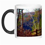 Leo Harrison St Pk  Path 8 Turkey Path Morph Mug