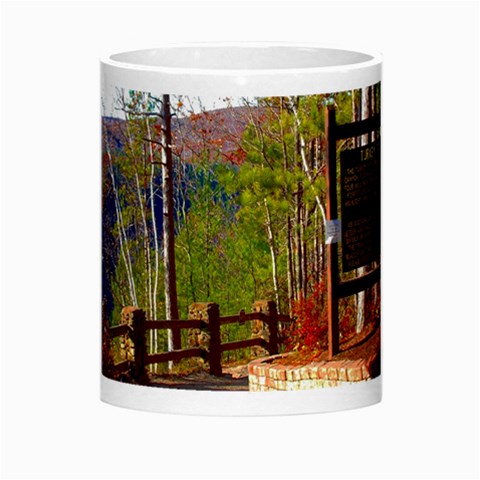 Leo Harrison St Pk  Path 8 Turkey Path Morph Mug from ArtsNow.com Center