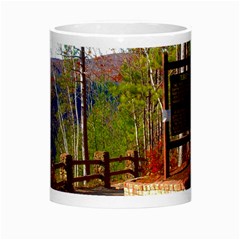 Leo Harrison St Pk  Path 8 Turkey Path Morph Mug from ArtsNow.com Center