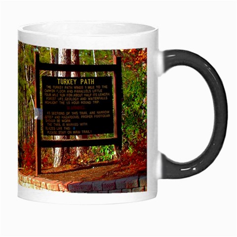 Leo Harrison St Pk  Path 8 Turkey Path Morph Mug from ArtsNow.com Right