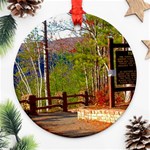 Leo Harrison St Pk  Path 8 Turkey Path Round Ornament (Two Sides)