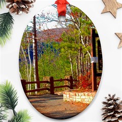 Leo Harrison St Pk  Path 8 Turkey Path Oval Ornament (Two Sides) from ArtsNow.com Back