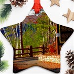Leo Harrison St Pk  Path 8 Turkey Path Star Ornament (Two Sides)