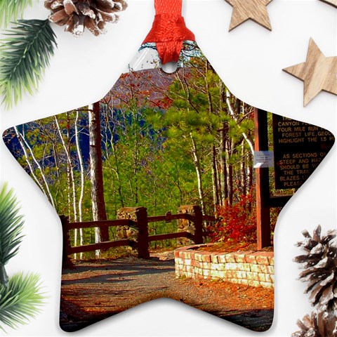 Leo Harrison St Pk  Path 8 Turkey Path Star Ornament (Two Sides) from ArtsNow.com Back