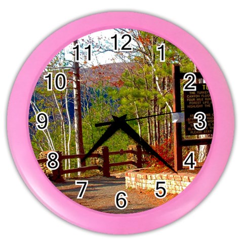 Leo Harrison St Pk  Path 8 Turkey Path Color Wall Clock from ArtsNow.com Front