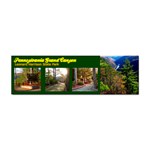 Pennsylvania Grand Canyon by Ave Hurley - Sticker Bumper (10 pack)