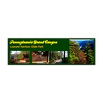 Pennsylvania Grand Canyon by Ave Hurley  -  Sticker Bumper (100 pack)
