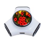 Poppies 3 by  Ave Hurley -  3-Port USB Hub