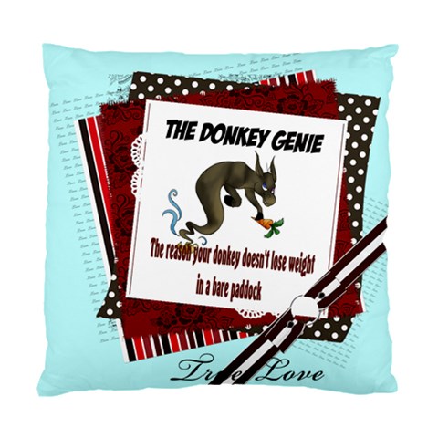 Donkey Genie 2 Cushion Case (Two Sides) from ArtsNow.com Front