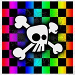 Checker Rainbow Skull Canvas 20  x 20 