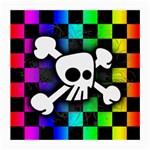 Checker Rainbow Skull Glasses Cloth (Medium)