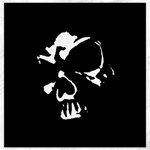 Gothic Skull Canvas 12  x 12 