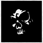 Gothic Skull Canvas 20  x 20 