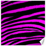 Pink Zebra Canvas 12  x 12 