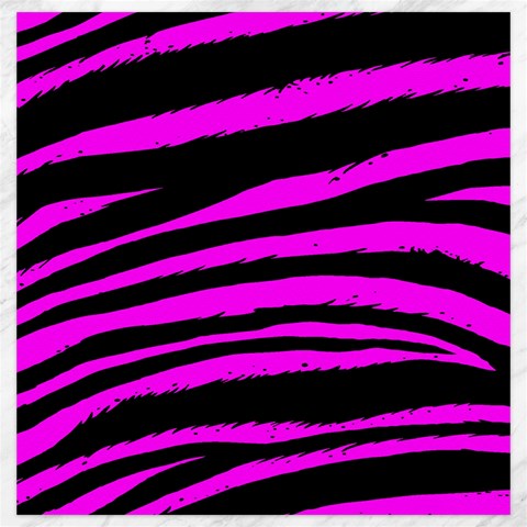Pink Zebra Canvas 20  x 20  from ArtsNow.com 19 x19.27  Canvas - 1