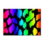 Rainbow Leopard Sticker A4 (10 pack)