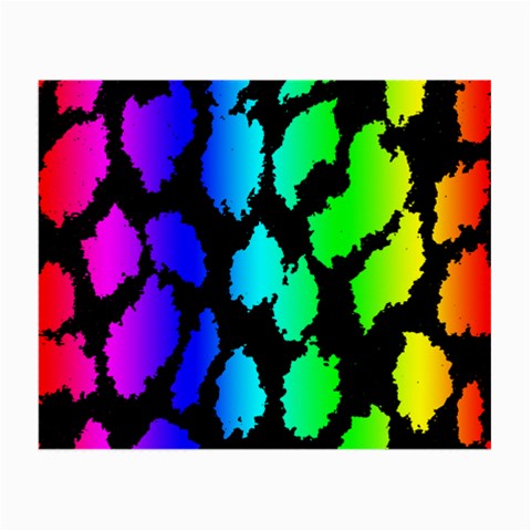 Rainbow Leopard Glasses Cloth (Small) from ArtsNow.com Front