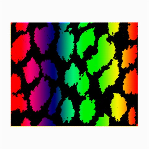 Rainbow Leopard Glasses Cloth (Small) from ArtsNow.com Front