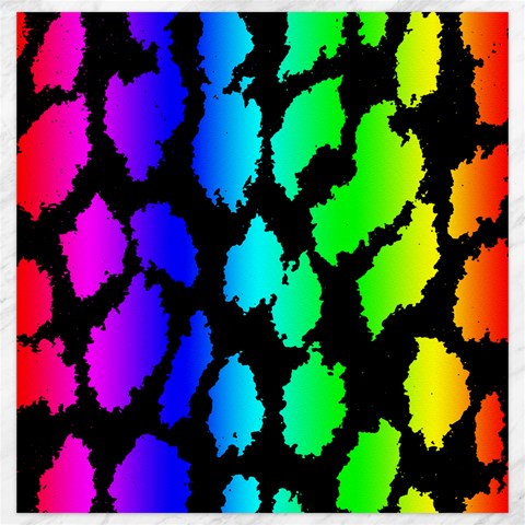 Rainbow Leopard Canvas 20  x 20  from ArtsNow.com 19 x19.27  Canvas - 1