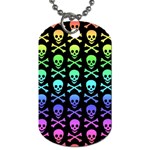 Rainbow Skull and Crossbones  Dog Tag (Two Sides)