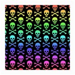 Rainbow Skull and Crossbones  Glasses Cloth (Medium, Two Sides)