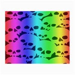 Rainbow Skull Collection Glasses Cloth (Small)