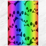Rainbow Skull Collection Canvas 12  x 18 
