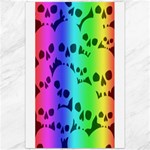 Rainbow Skull Collection Canvas 20  x 30 
