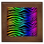 Rainbow Zebra Framed Tile
